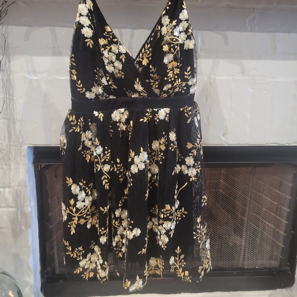 Dress (Express)